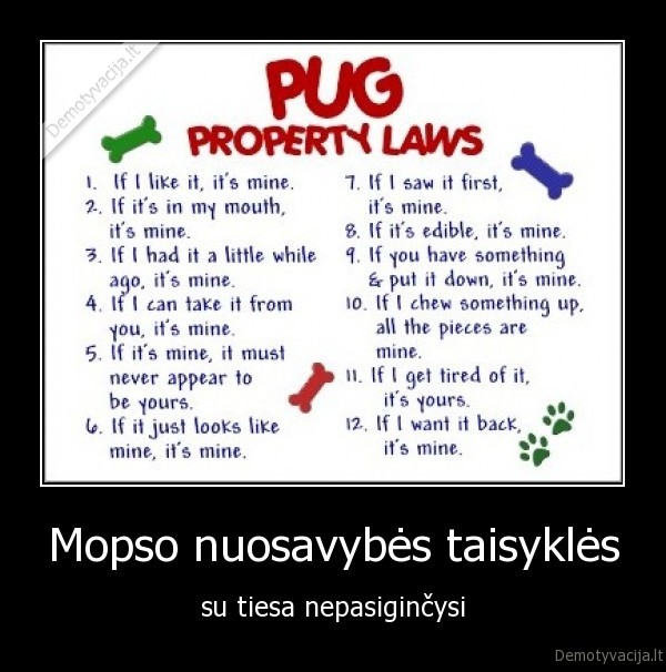 mopsas,nuosavybe,taisykles,tiesa