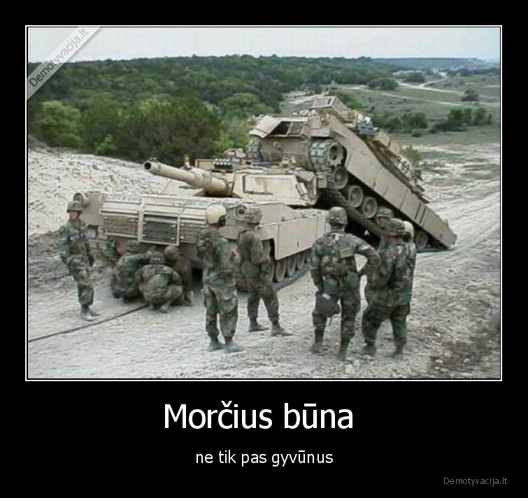 morcius,tankai,gyvunai,pavasaris