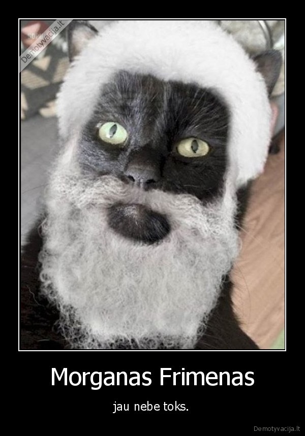 morganas, frimenas,katinas,barzda,kepure