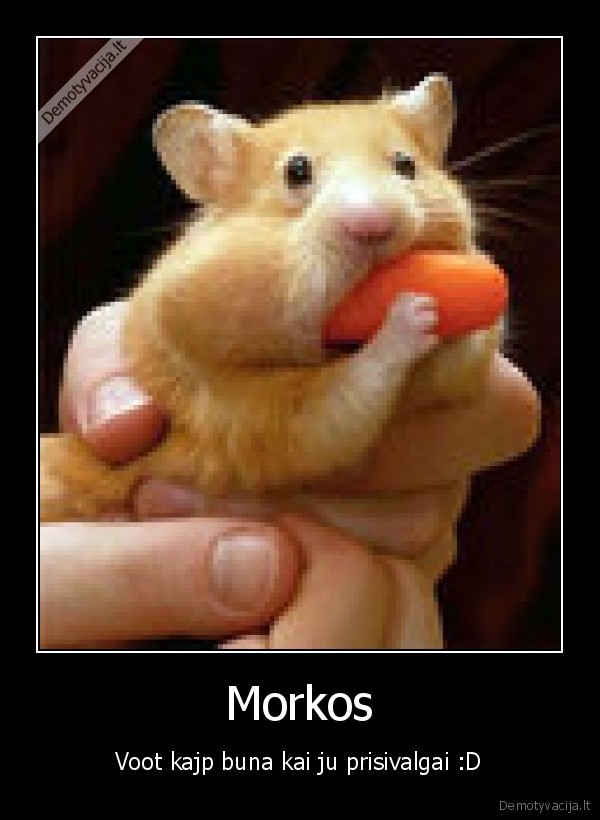 morkos