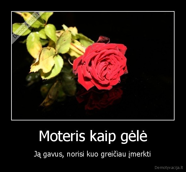 moteris,gele,gauti,imerkti,roze,lapas