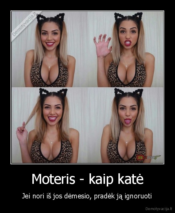 katyte,kate