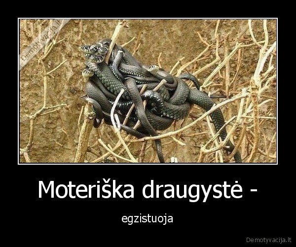 draugyste,moteriska