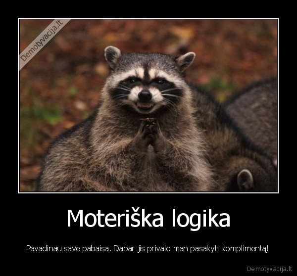 moteriska, logika,moters, grozis,komplimentai