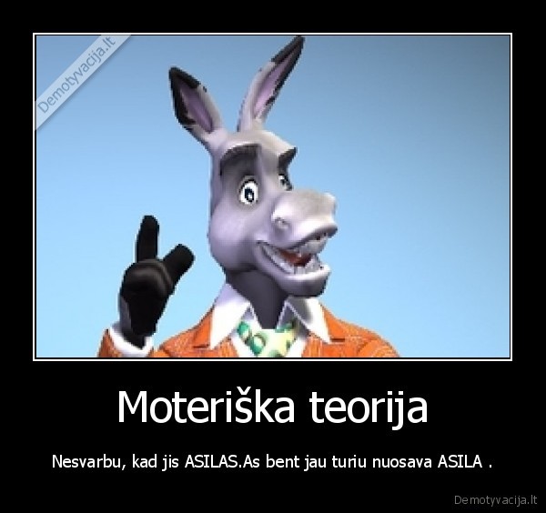 Moteriška teorija