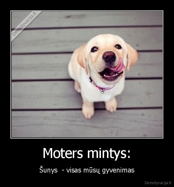 Moters mintys: