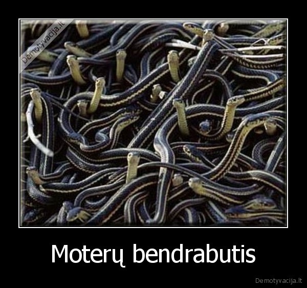 moteru,bendrabutis