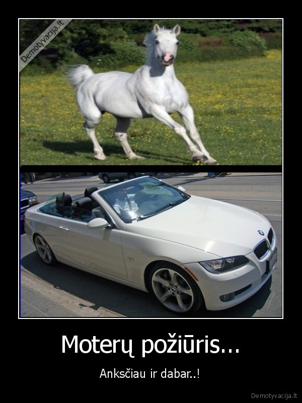 moterys,citatos24.lt,graziausios, geles, pinigu, kaladeles