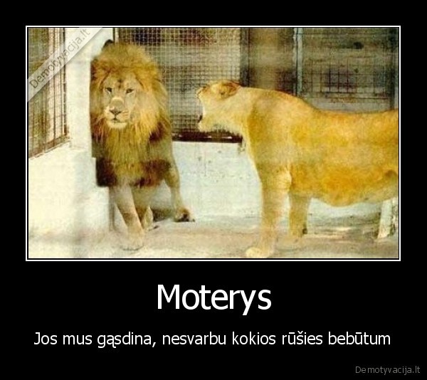 Moterys