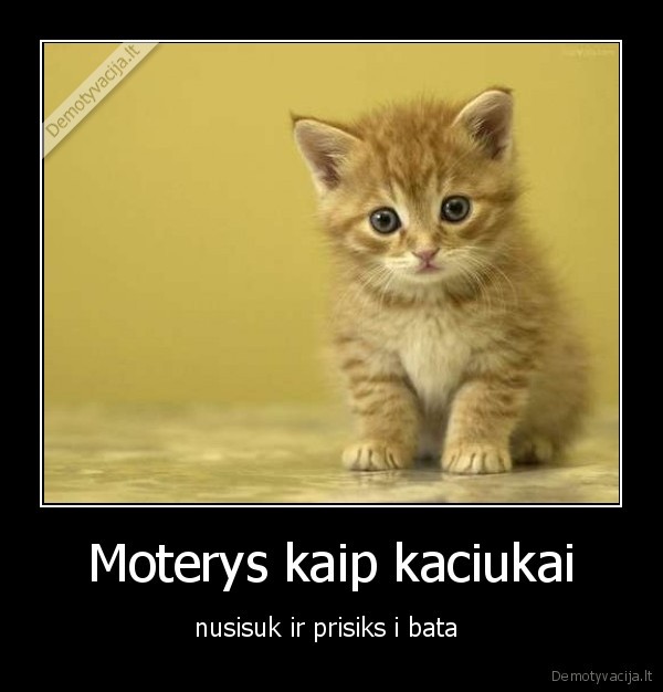 sudas,ne,boba,jeigu,sika,i, dusia