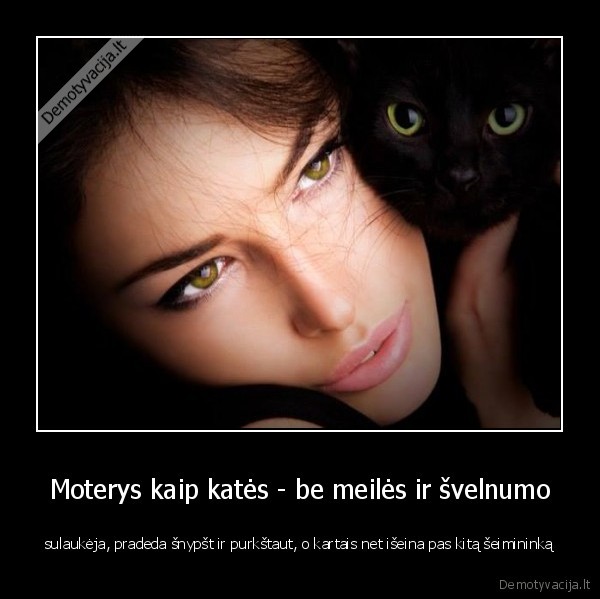 moteris, kate,palyginimas, su, kate,laukine, moteris