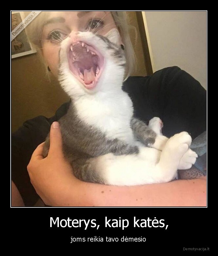 demesys,kate,moteris