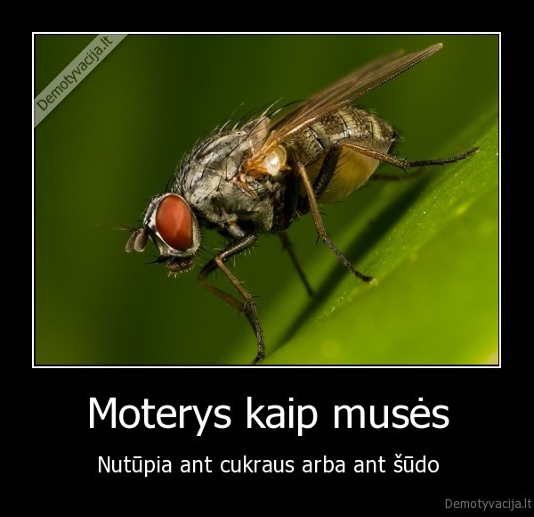 moterys,muses,taspats