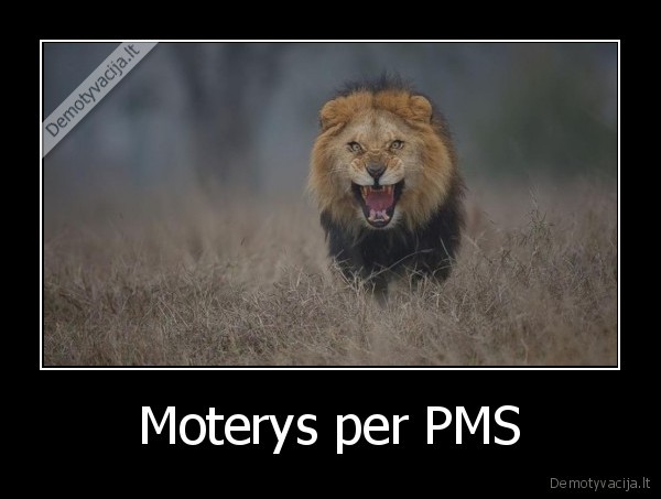 Moterys per PMS