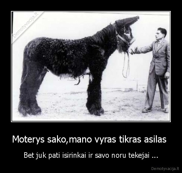 Moterys sako,mano vyras tikras asilas 