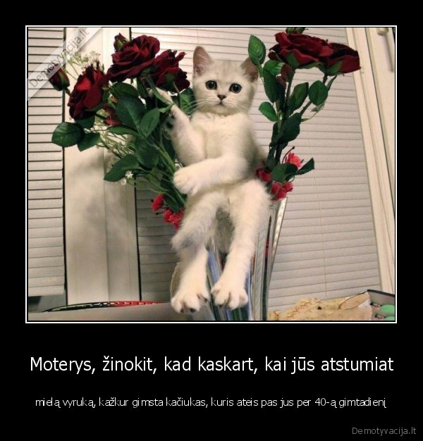 kaciukai,gimtadienis,senmerges