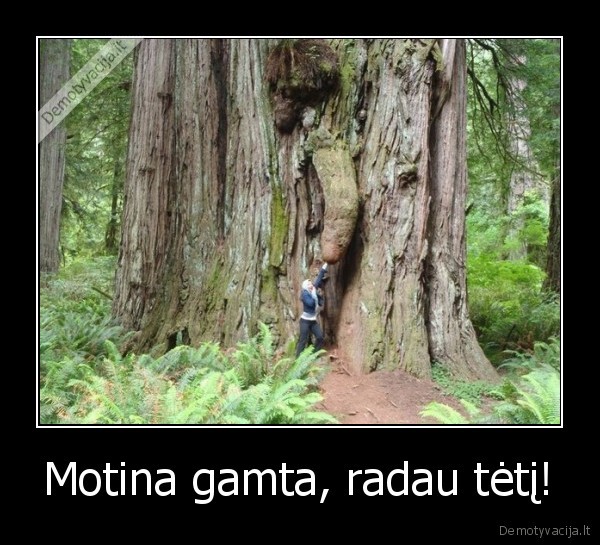 motina, gamta,tetis, gamta,vyriskas, medis