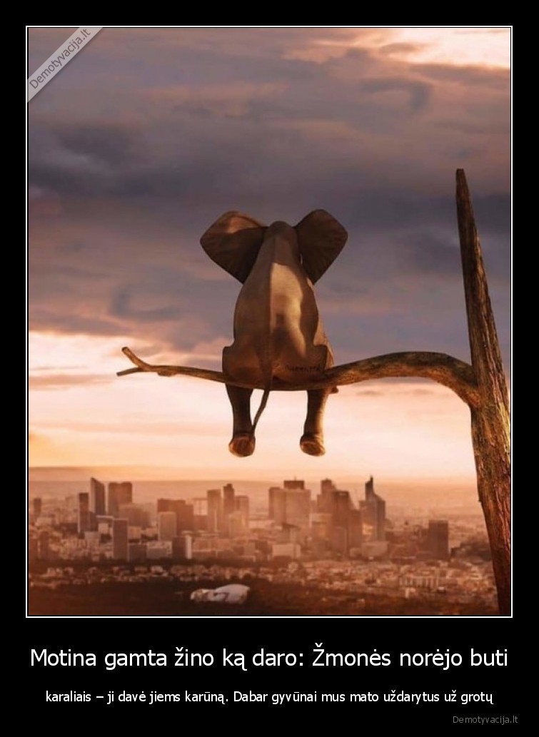 koronavirusas,gamta,zmogus