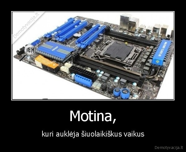 motinine, plokste