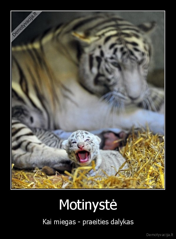 mama,vaikas,tigras