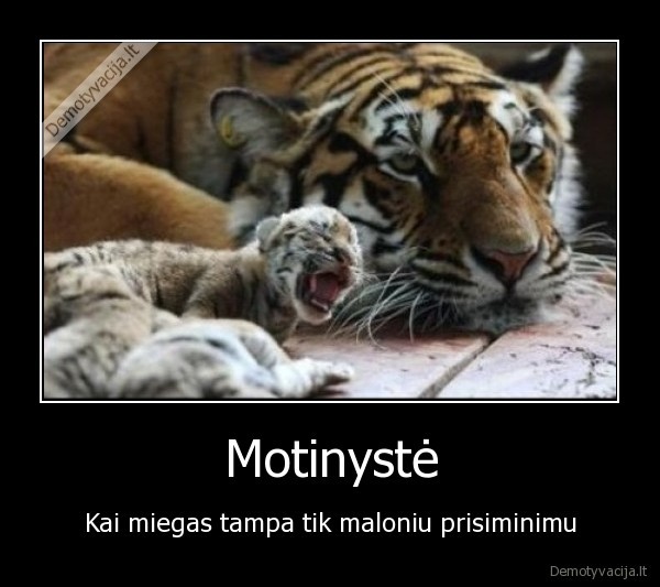 motinyste,miegas,vaikai