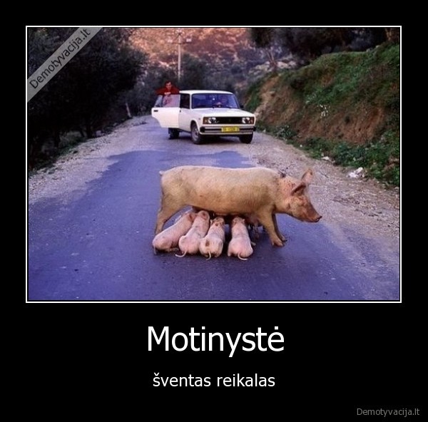 Motinystė