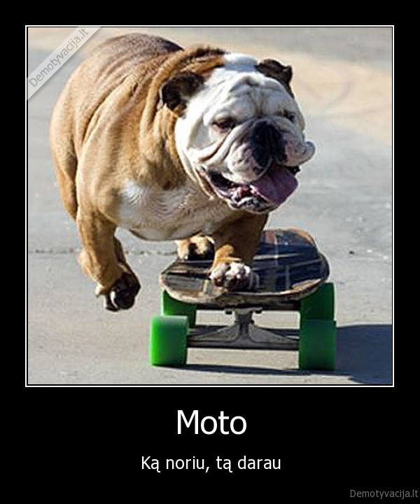 jega, zmones, gyvunai, riedlente, miskas, buldogas, grazus, suo, ne, penis, meile