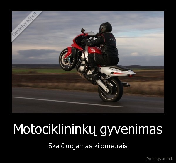 turbut, autorius, gyvenime, nemates, moco, ir, kuria, demo