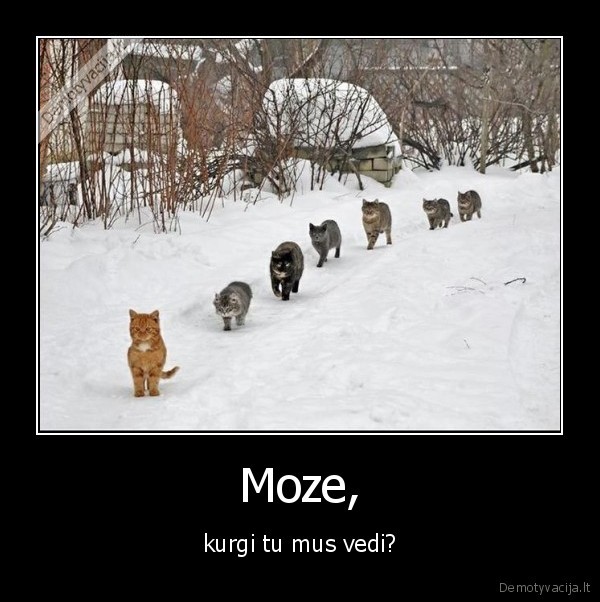 Moze,