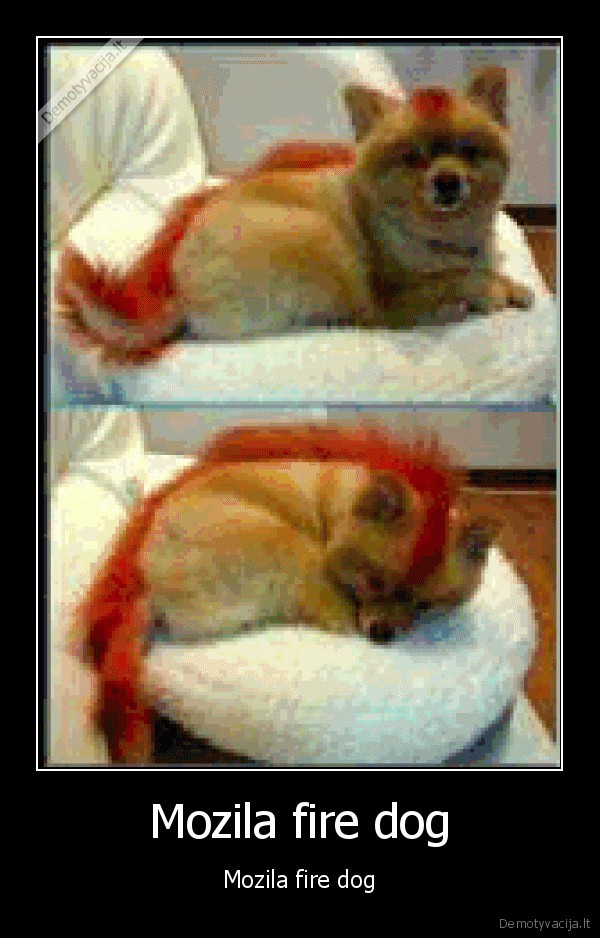 Mozila fire dog