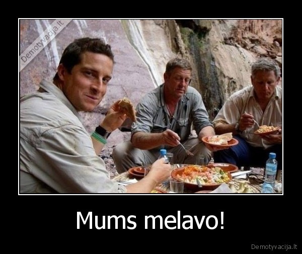 bear, grylls,meluoti,valgo,discovery