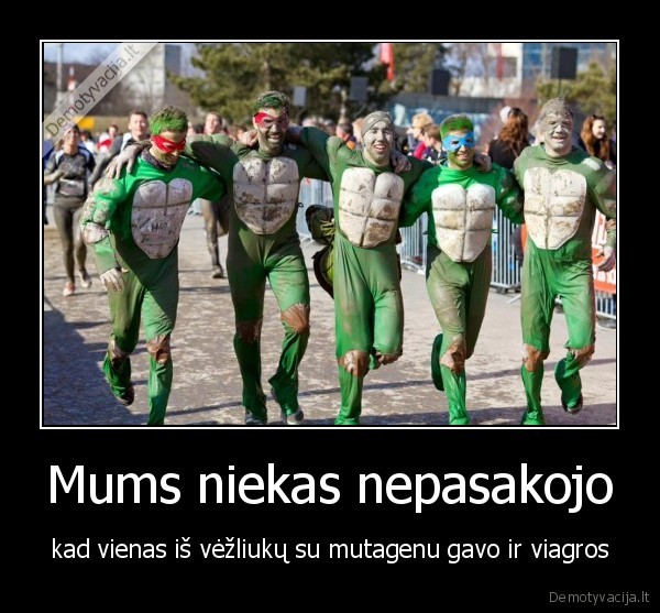 stajakas, vezliukai, nindzes