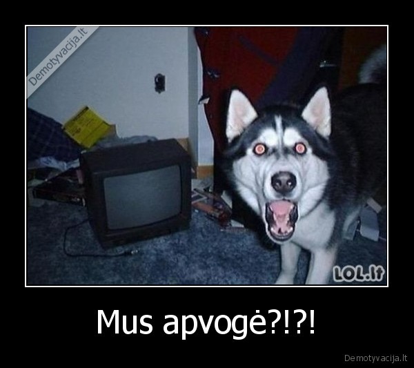 Mus apvogė?!?!