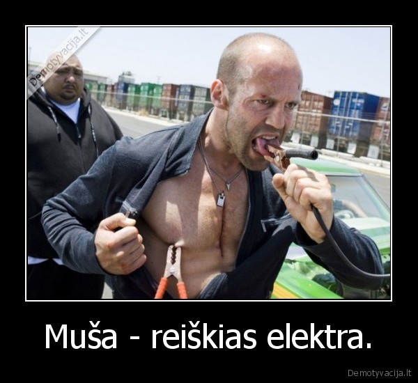 elektra,musa
