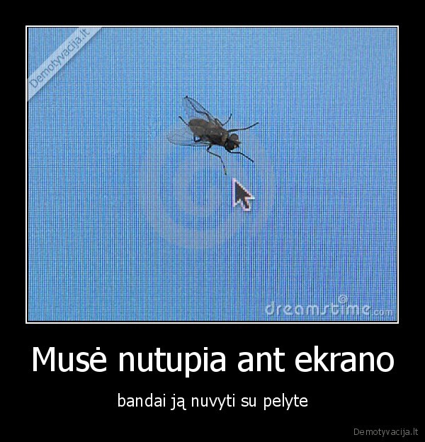 muse, sika, ant, ekrano