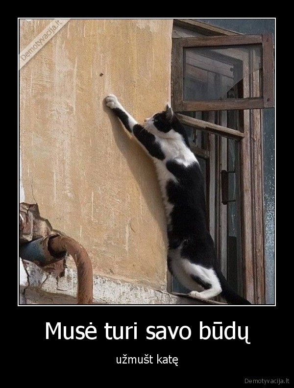 Musė turi savo būdų