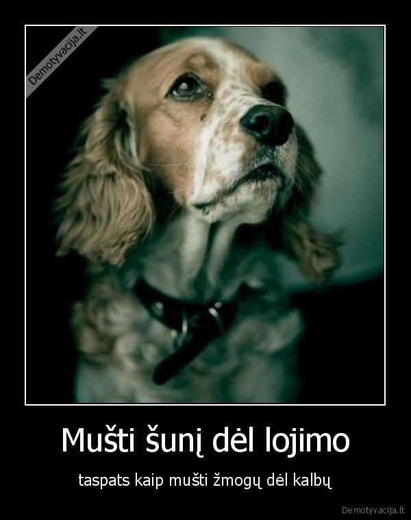 musti,suni,sunys,zmones,lojimas,kalbos