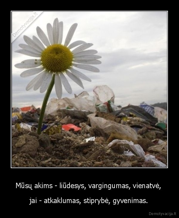 Mūsų akims - liūdesys, vargingumas, vienatvė, 