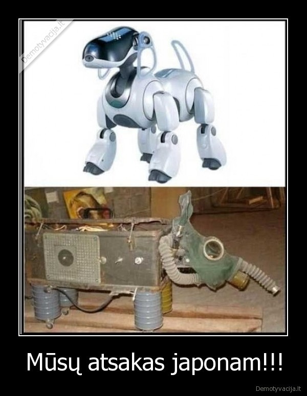 Mūsų atsakas japonam!!!