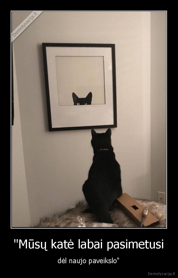 kate,katinas,paveikslas