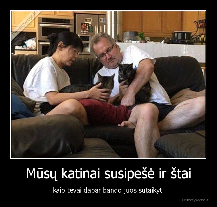katinai,kates,gyvunai,augintiniai,susipese,sutaikyti,tevai