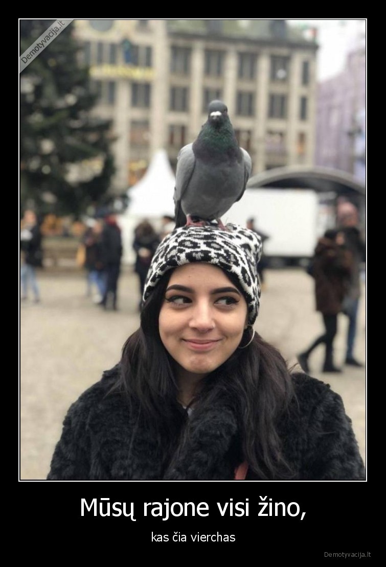 balandis,vierchas,rajonas