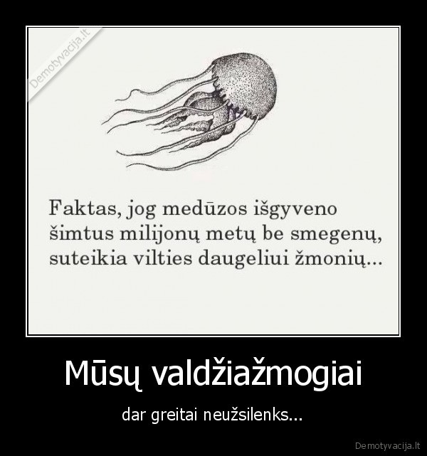 valdziazmogiai,meduza