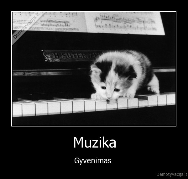 Muzika