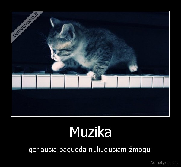 Muzika