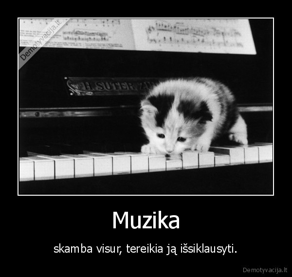 muzika