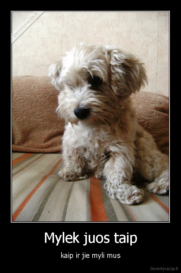 Mylek juos taip
