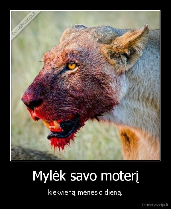 moteris,meile,menesines,kraujas