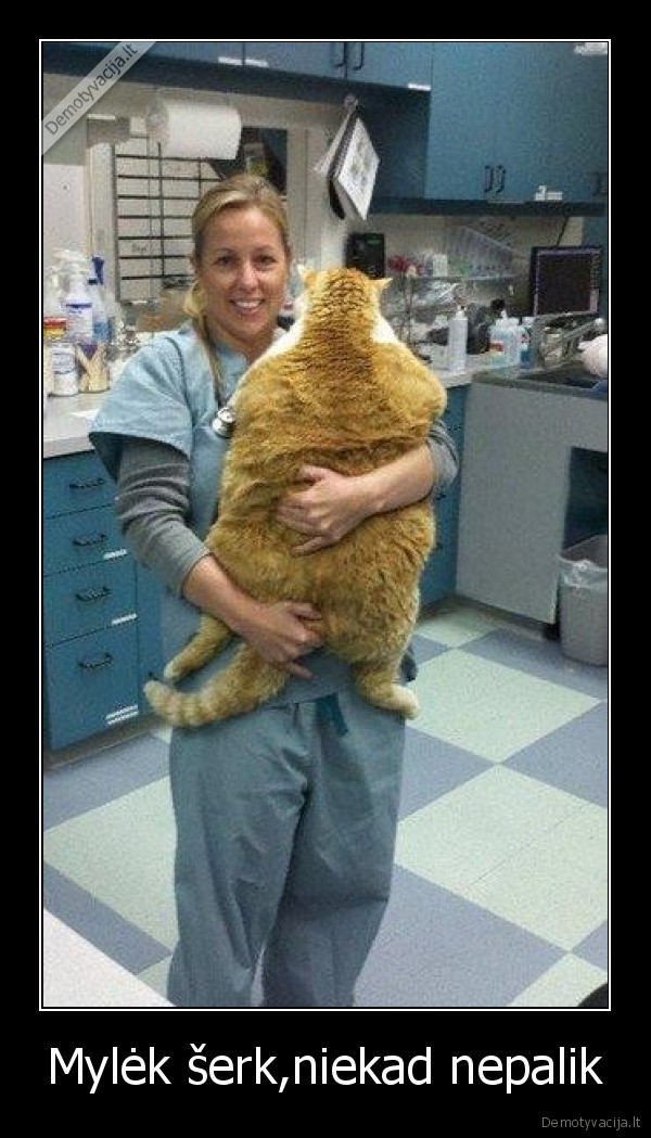 Mylėk šerk,niekad nepalik