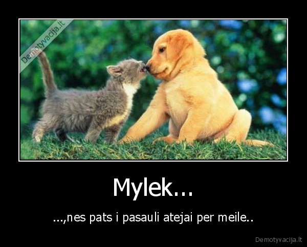 Mylek...